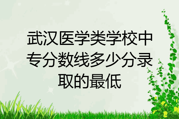 武汉医学类学校中专分数线多少分录取的最低