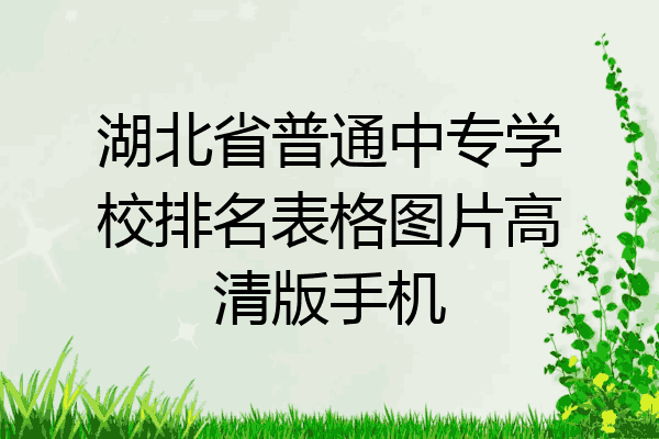 湖北省普通中专学校排名表格图片高清版手机
