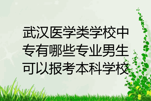 武汉医学类学校中专有哪些专业男生可以报考本科学校