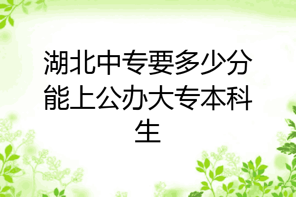 湖北中专要多少分能上公办大专本科生