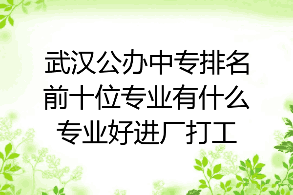 武汉公办中专排名前十位专业有什么专业好进厂打工