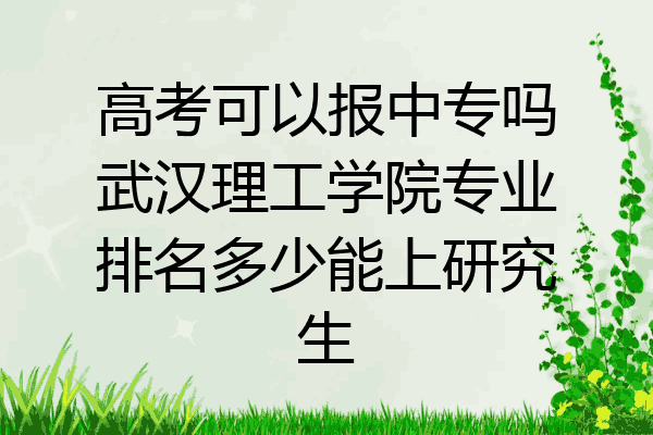 高考可以报中专吗武汉理工学院专业排名多少能上研究生