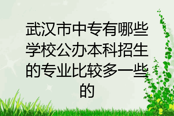 武汉市中专有哪些学校公办本科招生的专业比较多一些的