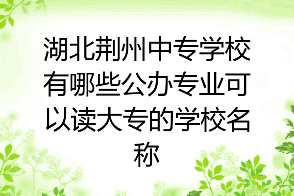 湖北荆州中专学校有哪些公办专业可以读大专的学校名称