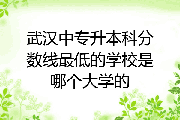 武汉中专升本科分数线最低的学校是哪个大学的