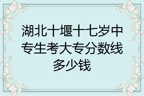 湖北十堰十七岁中专生考大专分数线多少钱