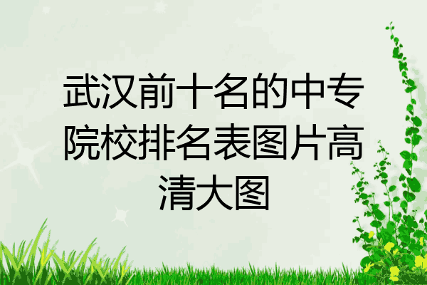 武汉前十名的中专院校排名表图片高清大图