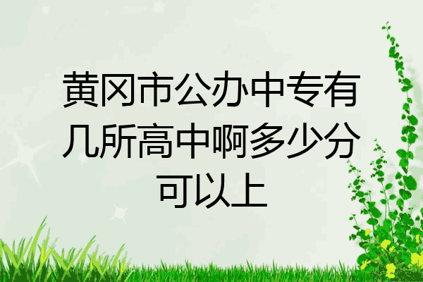 黄冈市公办中专有几所高中啊多少分可以上