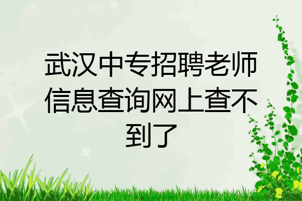 武汉中专招聘老师信息查询网上查不到了