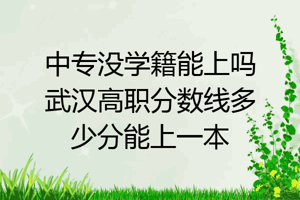 中专没学籍能上吗武汉高职分数线多少分能上一本