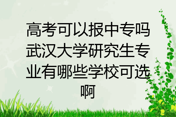 高考可以报中专吗武汉大学研究生专业有哪些学校可选啊