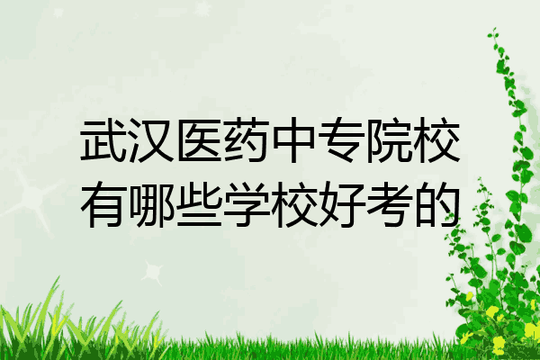武汉医药中专院校有哪些学校好考的