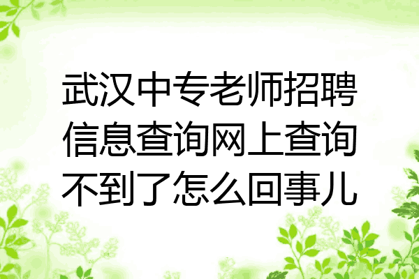 武汉中专老师招聘信息查询网上查询不到了怎么回事儿