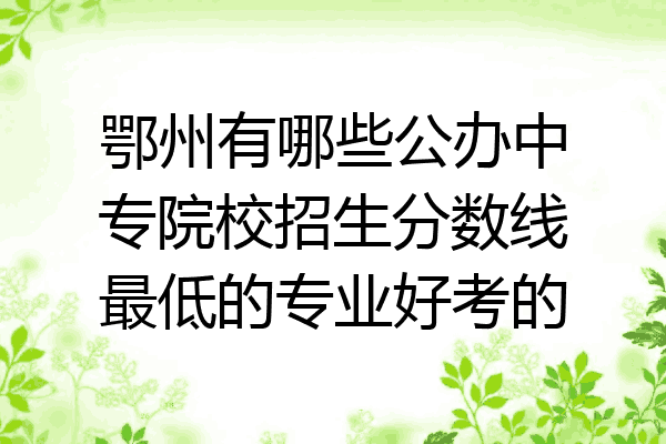 鄂州有哪些公办中专院校招生分数线最低的专业好考的