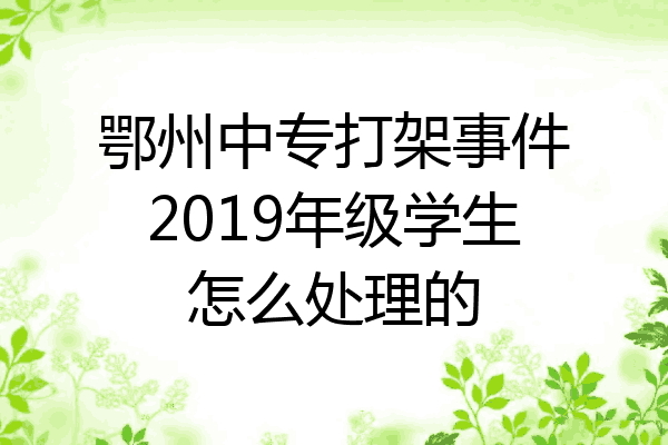 鄂州中专打架事件2019年级学生怎么处理的
