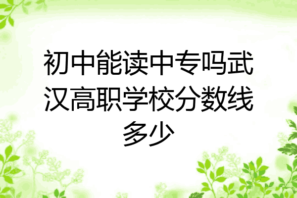 初中能读中专吗武汉高职学校分数线多少