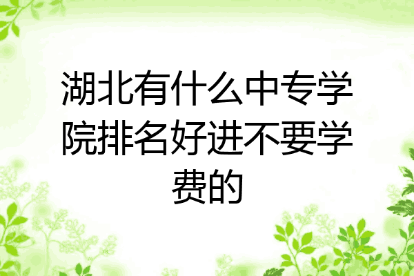 湖北有什么中专学院排名好进不要学费的