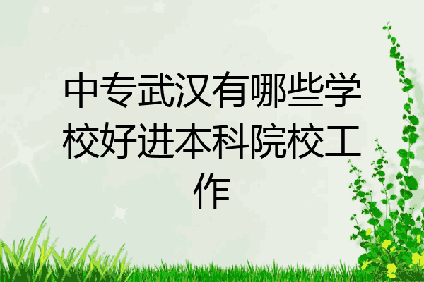 中专武汉有哪些学校好进本科院校工作