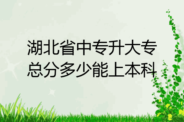 湖北省中专升大专总分多少能上本科