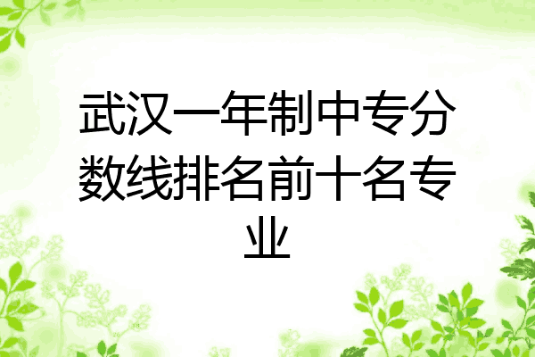 武汉一年制中专分数线排名前十名专业