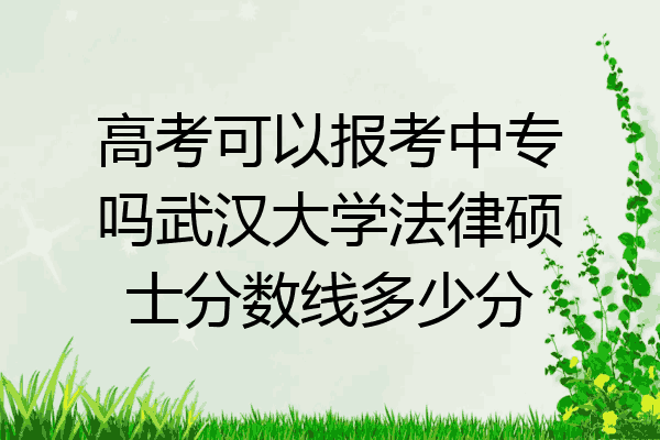 高考可以报考中专吗武汉大学法律硕士分数线多少分