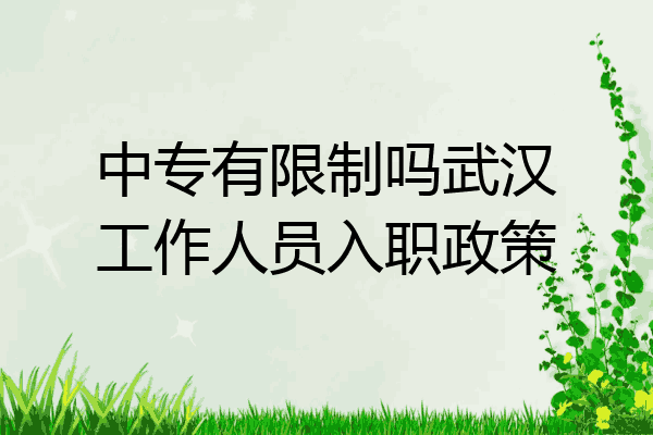 中专有限制吗武汉工作人员入职政策