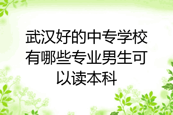 武汉好的中专学校有哪些专业男生可以读本科