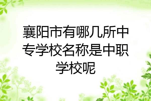 襄阳市有哪几所中专学校名称是中职学校呢