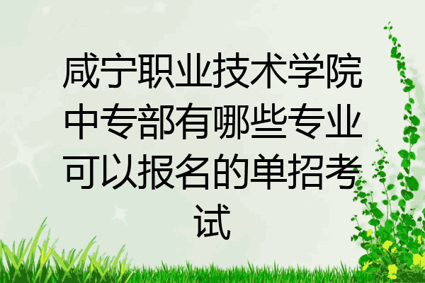 咸宁职业技术学院中专部有哪些专业可以报名的单招考试