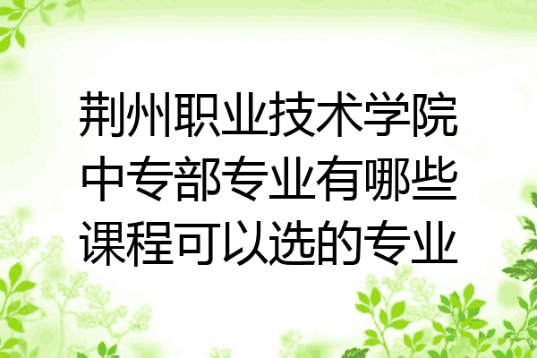 荆州职业技术学院中专部专业有哪些课程可以选的专业