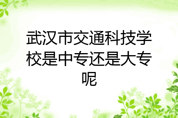 武汉市交通科技学校是中专还是大专呢