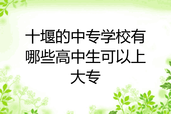 十堰的中专学校有哪些高中生可以上大专
