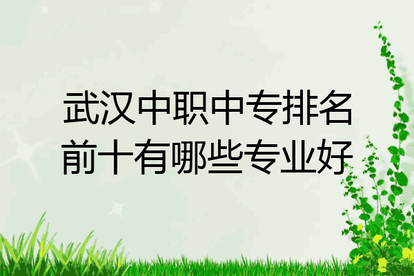 武汉中职中专排名前十有哪些专业好