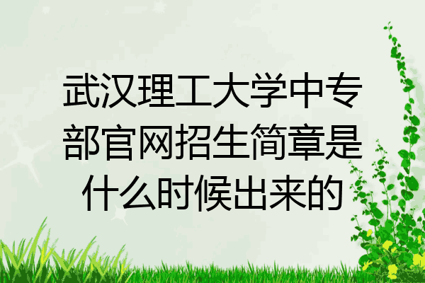 武汉理工大学中专部官网招生简章是什么时候出来的