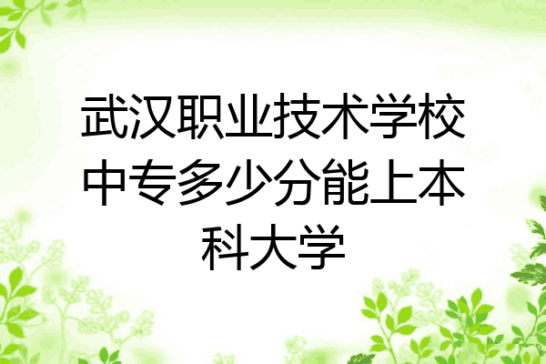 武汉职业技术学校中专多少分能上本科大学