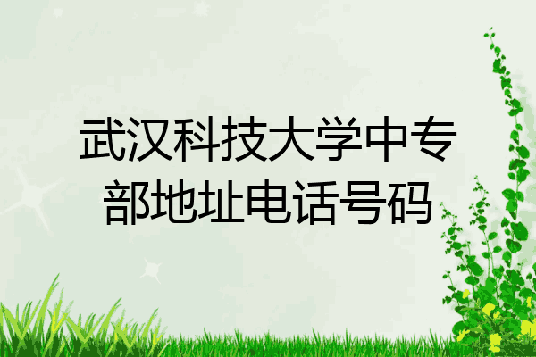 武汉科技大学中专部地址电话号码