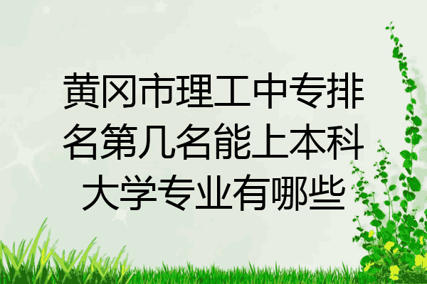 黄冈市理工中专排名第几名能上本科大学专业有哪些
