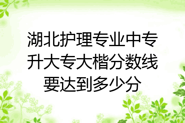 湖北护理专业中专升大专大楷分数线要达到多少分
