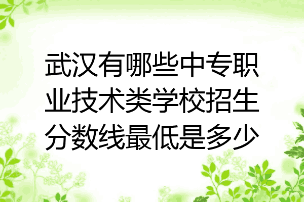 武汉有哪些中专职业技术类学校招生分数线最低是多少