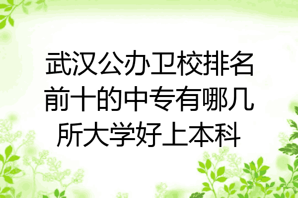 武汉公办卫校排名前十的中专有哪几所大学好上本科