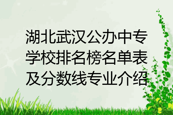 湖北武汉公办中专学校排名榜名单表及分数线专业介绍