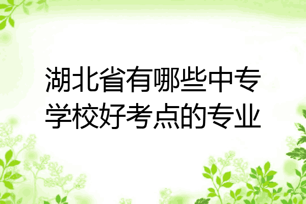 湖北省有哪些中专学校好考点的专业