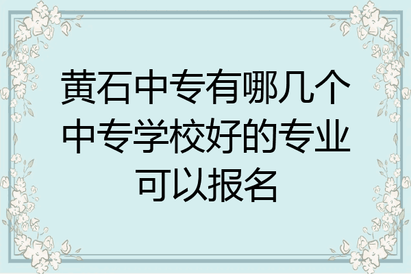黄石中专有哪几个中专学校好的专业可以报名