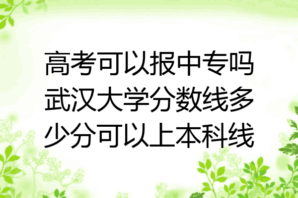 高考可以报中专吗武汉大学分数线多少分可以上本科线