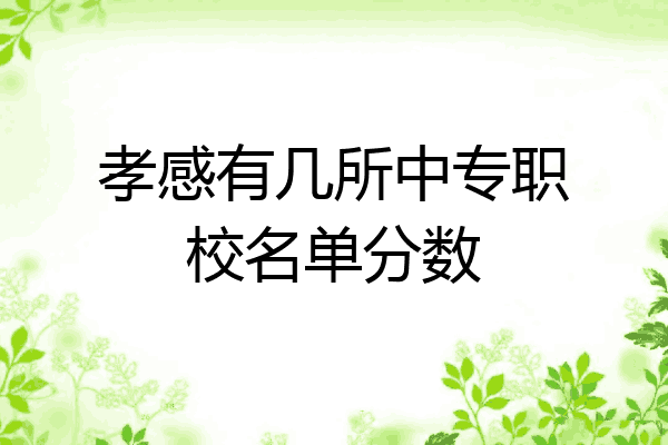 孝感有几所中专职校名单分数