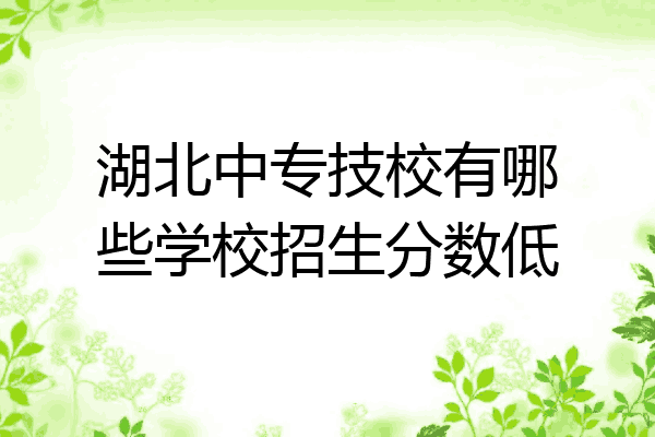 湖北中专技校有哪些学校招生分数低