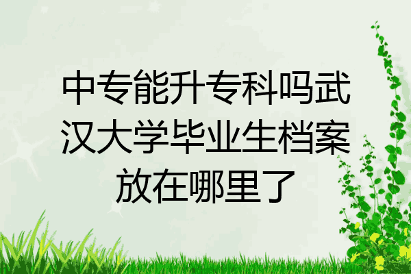 中专能升专科吗武汉大学毕业生档案放在哪里了