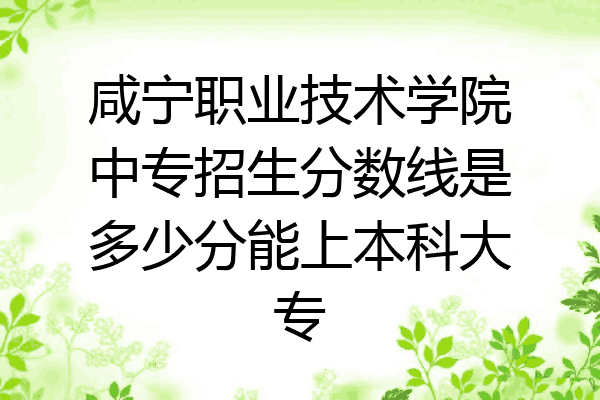 咸宁职业技术学院中专招生分数线是多少分能上本科大专