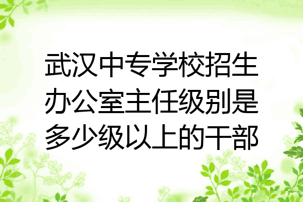 武汉中专学校招生办公室主任级别是多少级以上的干部