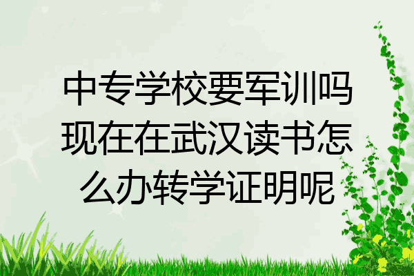 中专学校要军训吗现在在武汉读书怎么办转学证明呢